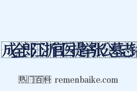 成全郎江浙官医提举张公墓志铭是什么意思的图片